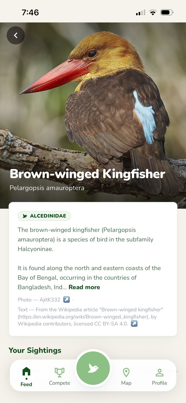 Bird Index species page