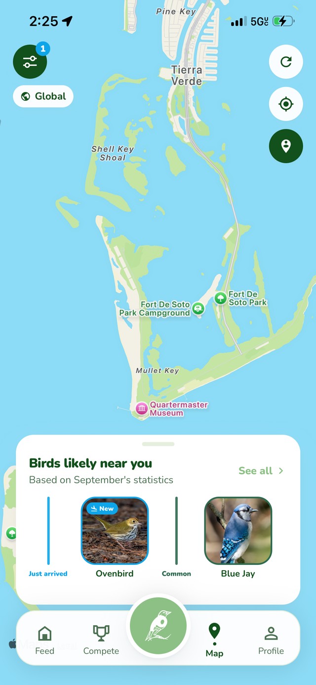 Birds likely near you
